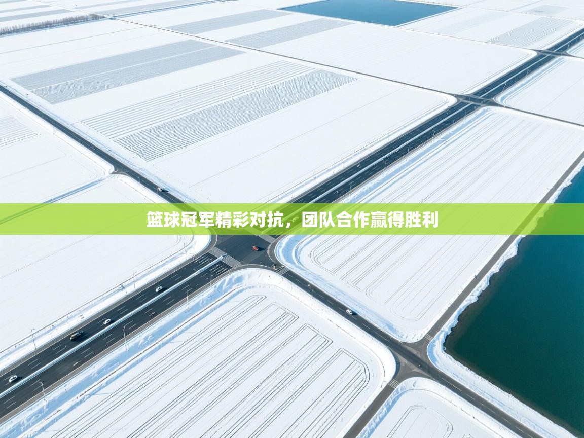 开云体育app下载入口-篮球冠军精彩对抗,团队合作赢得胜利